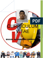 Curriculum Miguel Alexander Corregidor