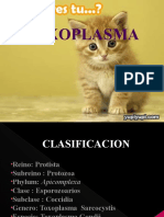 Toxoplasma