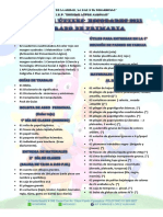 Lista de Útiles 2do Primaria