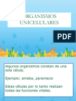 6 - Organismos Unicelulares