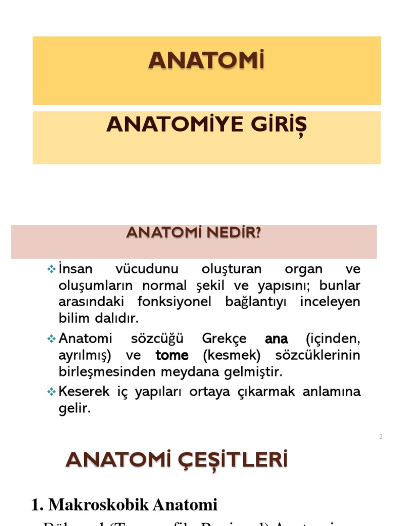 1 Hafta Anatomi Anatomiye Giris | PDF