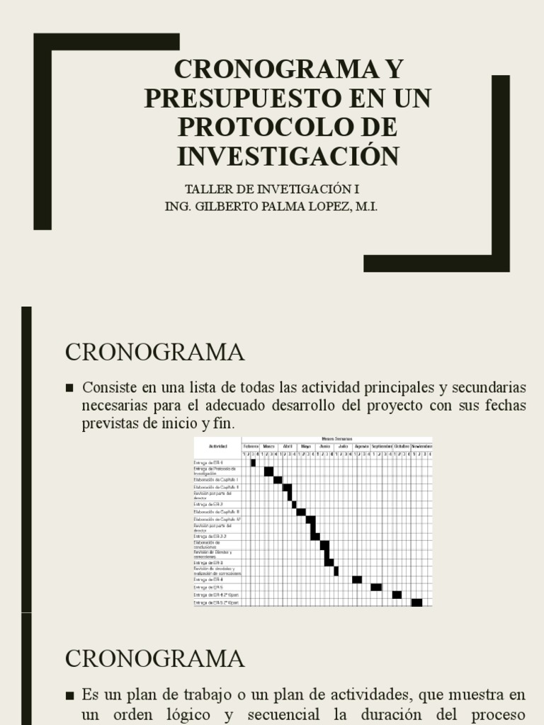 Cronograma y Presupuesto en Investigación | PDF | Informática