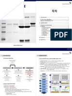 Tech Note Western Blot