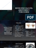 Neuropsicología II