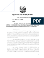 RD 002 2023 y Directiva PDF