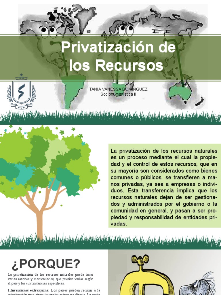 Privatizacion de Los Recursos Naturales PDF Privatización Corrupción política