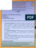 Las Garantías Constitucionales El Amparo III DPC Clase No.7