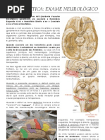 exame neurologico