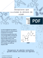 Receptores Que Estimulan La Síntesis de cGMP.