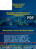 Tema 6. Mecanismos Patogénicos de las Enf. Ocupacionales y Ambientales - Dra. Liliana Rojas de Sanabria (2)
