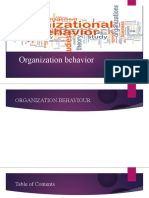 Organization Behavior Ppt