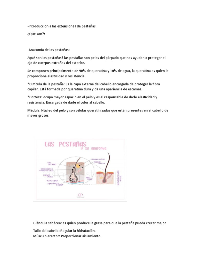 Introducción a las Extensiones de Pestañas | PDF | Hogar, jardinería y ...