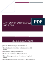 CVS and Blood Anatomy - 1
