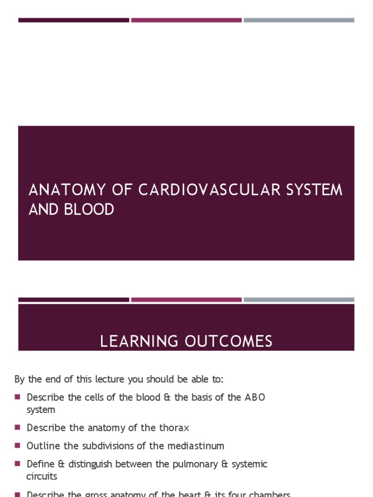 CVS and Blood Anatomy 1 PDF Blood Type Tissue (Biology)
