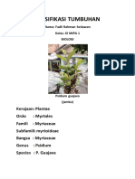 klasifikasi tumbuhan fadlirs ximipa1