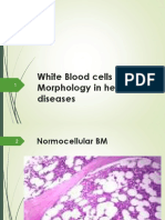 MLS313 WBCs Morphology in Health and Diseases