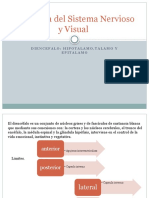 Anatomía Del Sistema Nervioso y Visual