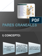 Pares Craneales