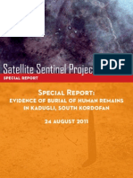 SSP Report Satellite Sudan