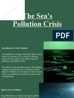 The Sea's Pollution Crisis