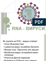 Rna - Virusi -.Pptx · Верзија 1