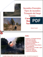 Curso Básico Bomberos Forestales Navarra 1 OPT (2)