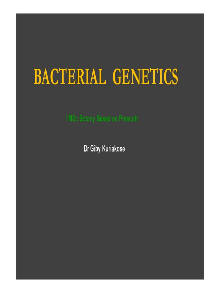 Bacterial Genetics Pdf Rna Plasmid
