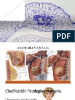 Patología Mamaria