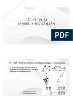 Bài 2. Các Kỹ Thuật Mô Bệnh Học Căn Bản