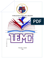 Formato - Proyecto Interdisciplinar 3