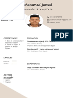 CV (PDF - Io)