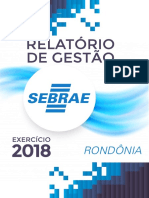 Relatório de Gestão - 2018 - SEBRAE