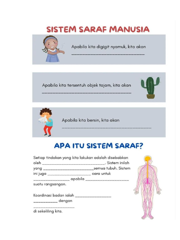 Sistem Saraf Tahun 6 | PDF