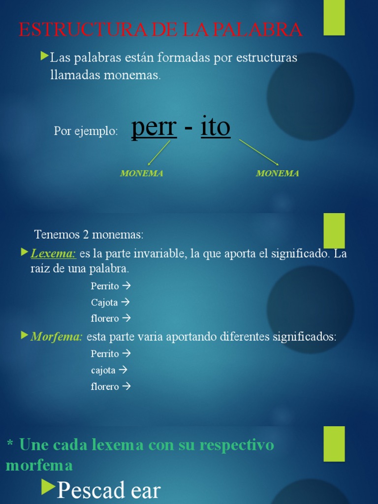 Estructura de La Palabra | PDF