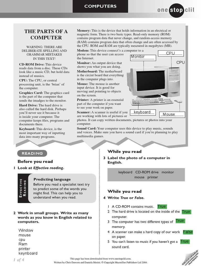 Computers Worksheet | PDF | Computer Data Storage | Read Only Memory