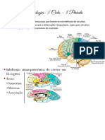 FISIOLOGIA