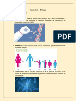 Vocabulario - Biologia