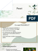 Pasari