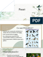 Pasari