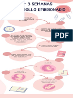 1-3 Semanas de Embarazo