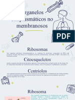 ORGANELOS CITOPLASMATICOS NO MEMBRANOSOS Partes