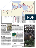 Birding-the-MAin Bay-Trail-2005