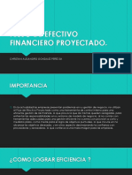 Flujo de Efectivo Financiero Proyectado