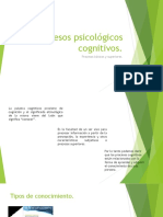 Procesos Psicológicos Cognitivos.