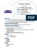 CV Youness PDF