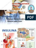 Insulina Expo