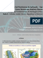 Aula 2 - Células, Lesão Celular, Apoptose e Necrose POWERPOINT