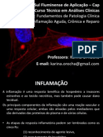 Aula 3 - Inflamação Aguda, Cronica e Reparo power point