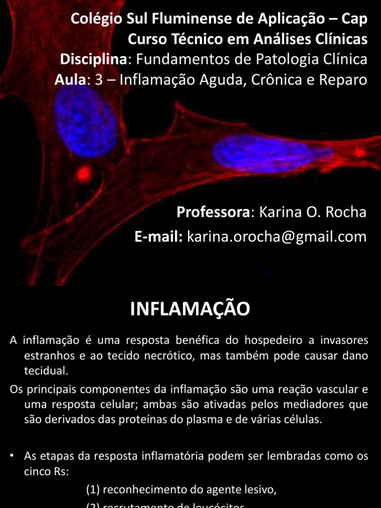 Aula 3 - Inflamação Aguda, Cronica e Reparo Power Point | PDF ...