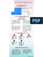 Carbohidratos y Lipidos